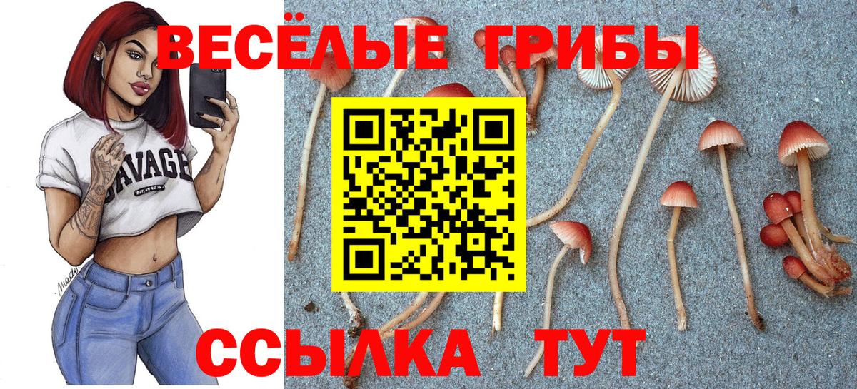 Щёлково  Псилоцибиновые грибы Psilocybe  Галлюциногенные грибы Psilocybe  Вход с VPN 